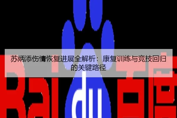 苏炳添伤情恢复进展全解析：康复训练与竞技回归的关键路径